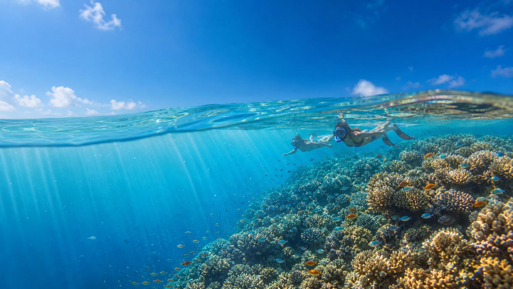 2026馬爾代夫浮潛與House Reef選島指南：附浮潛島推薦