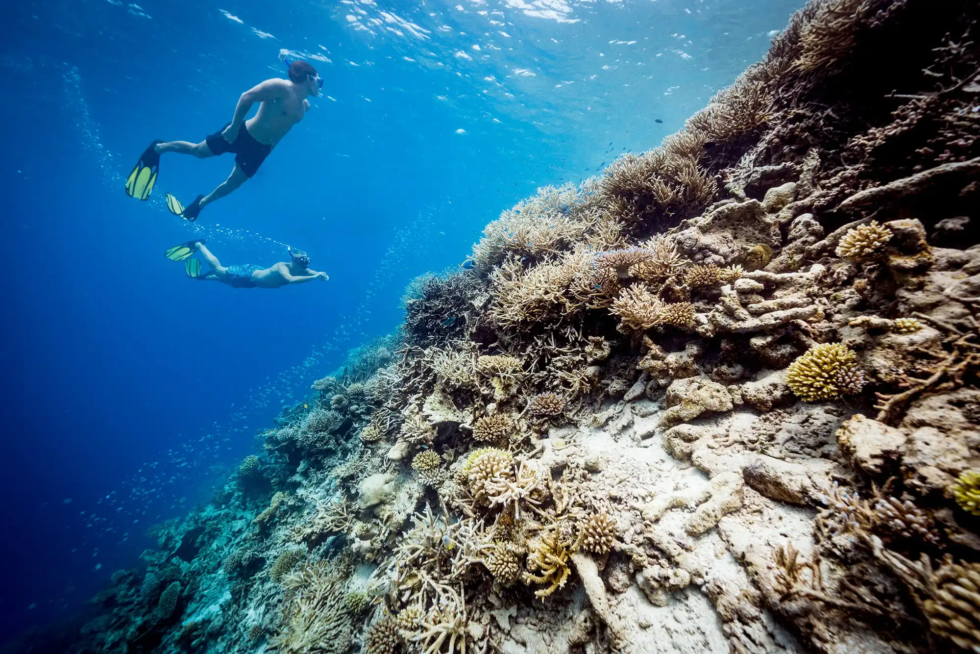 水上运动中心 - pic 4