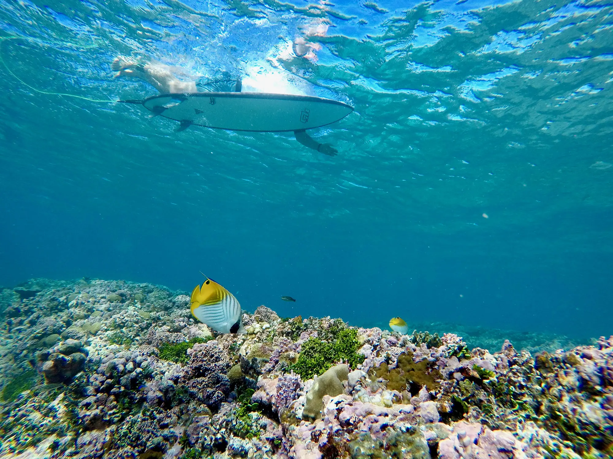 水上运动中心 - pic 10