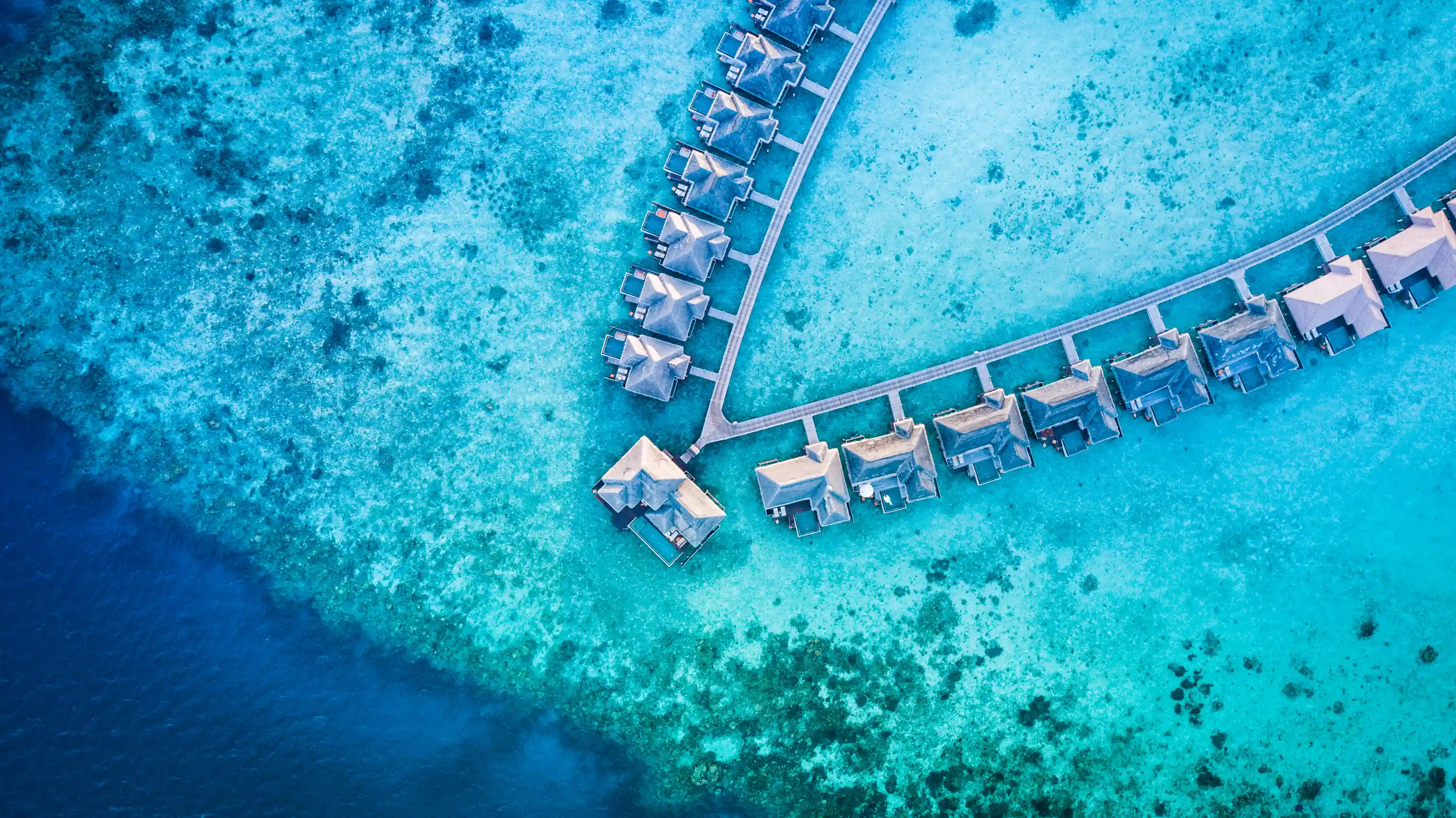 Ayada Maldives - 图片 7