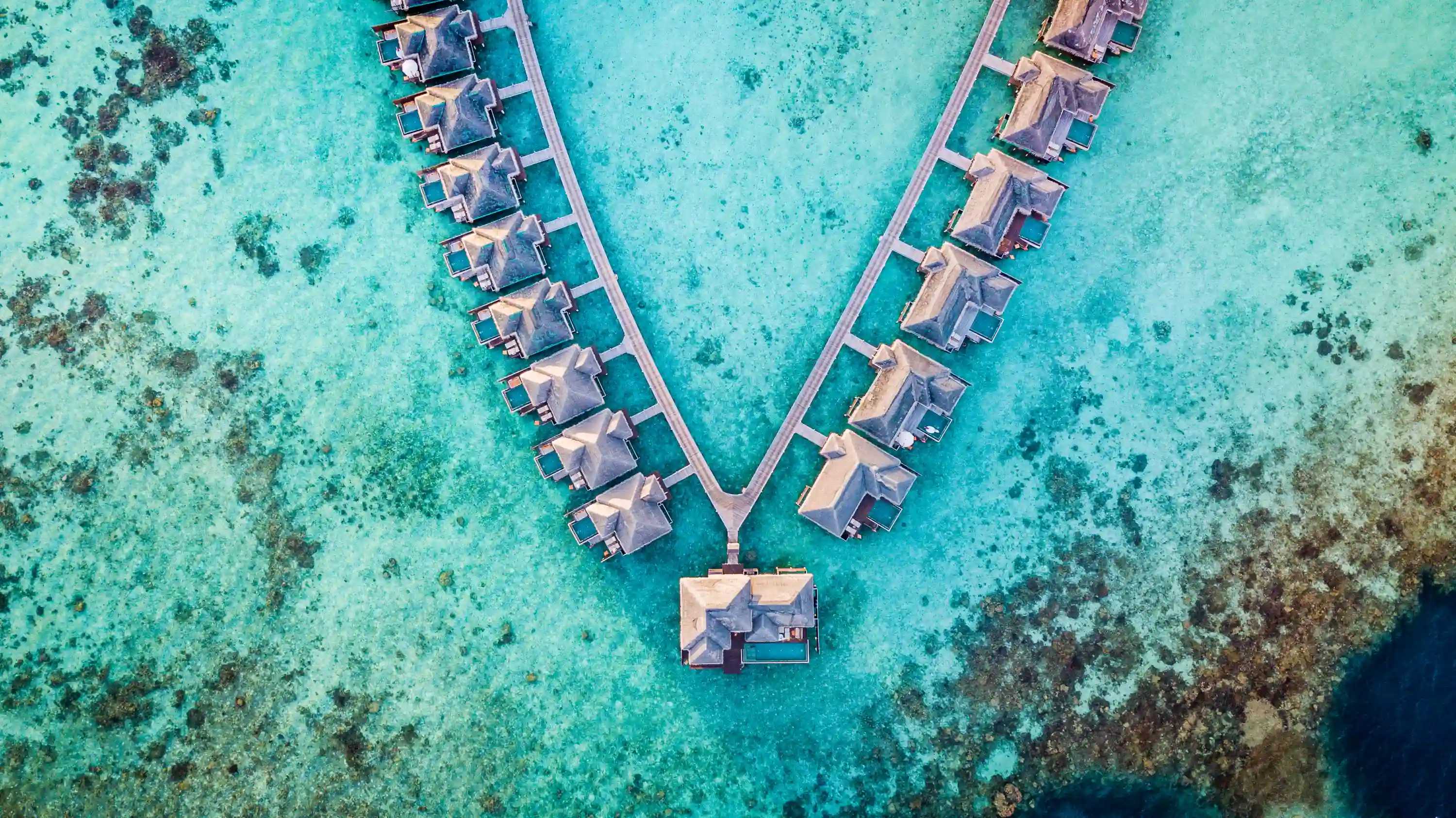 Ayada Maldives - 图片 8