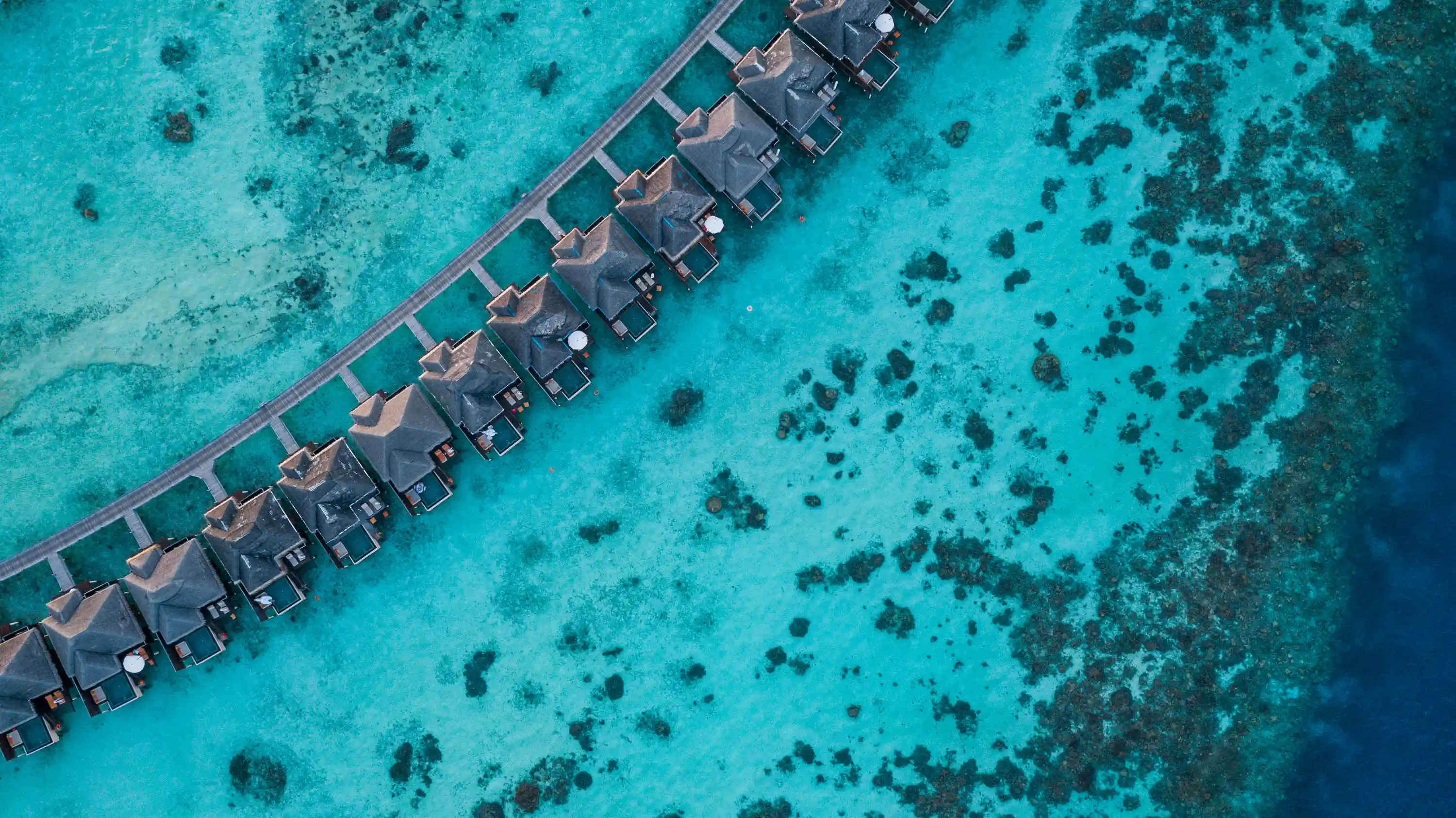 Ayada Maldives - 故事图片 11