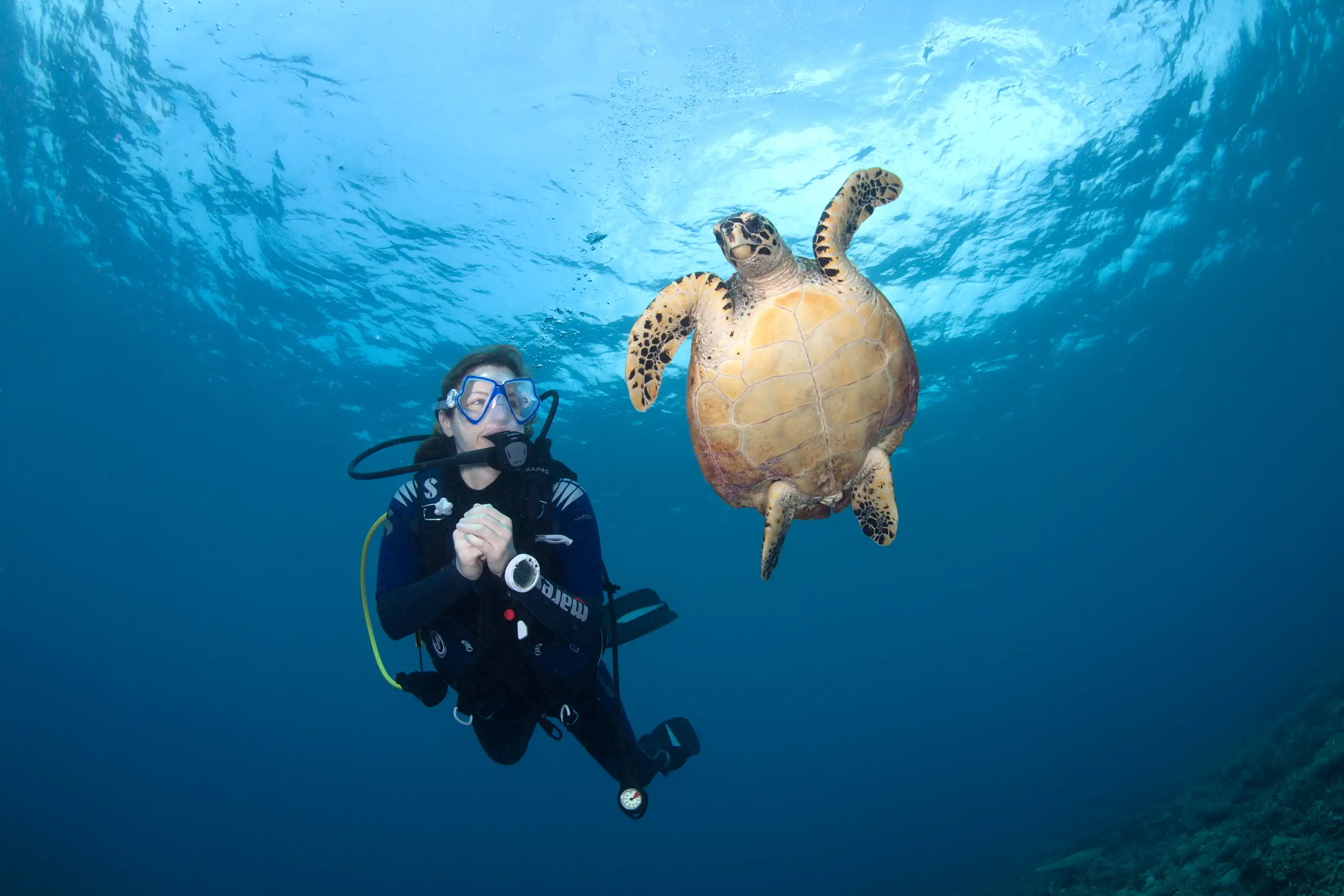 Ocean Dive Center - pic 8