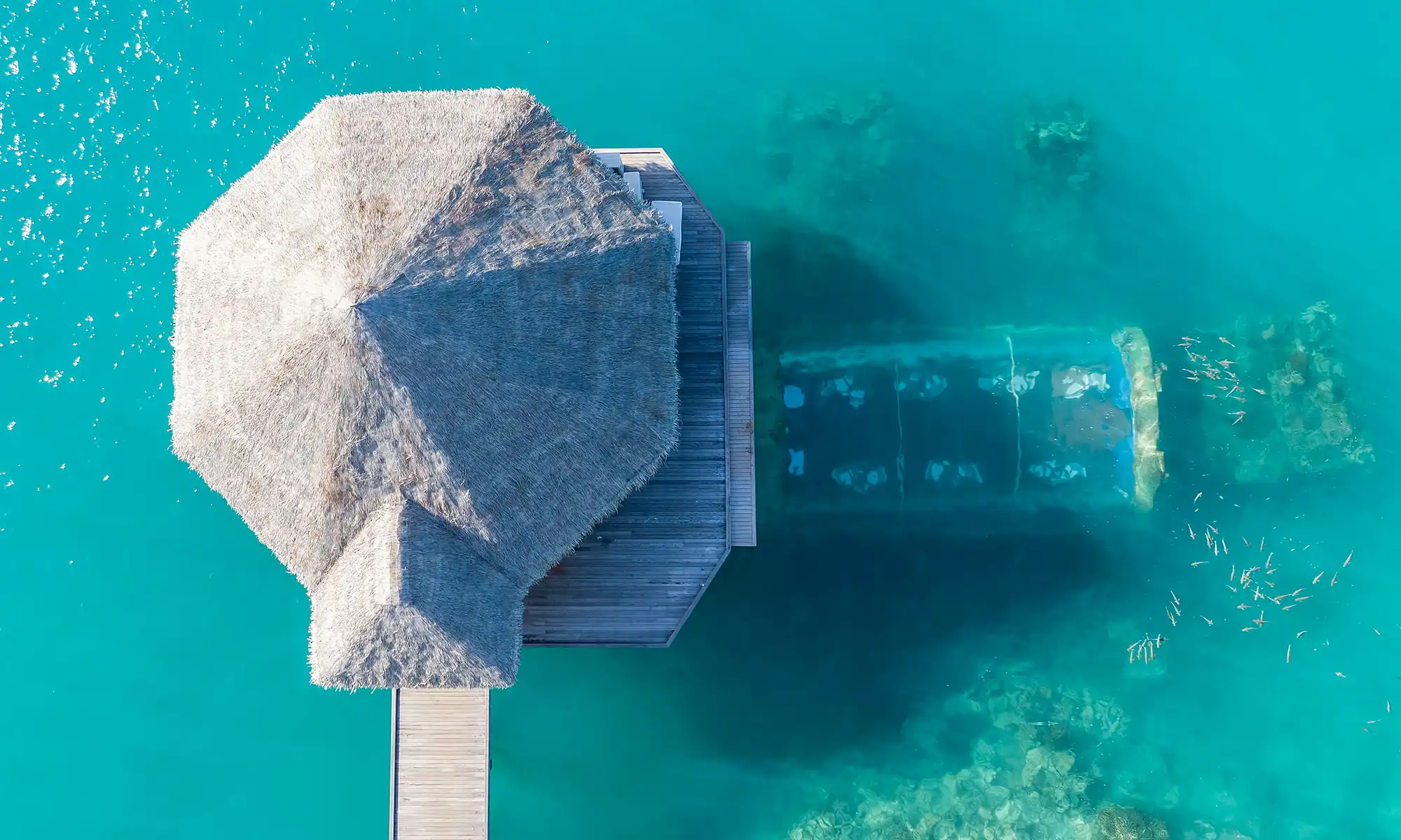 Ithaa Undersea Restaurant - pic 3