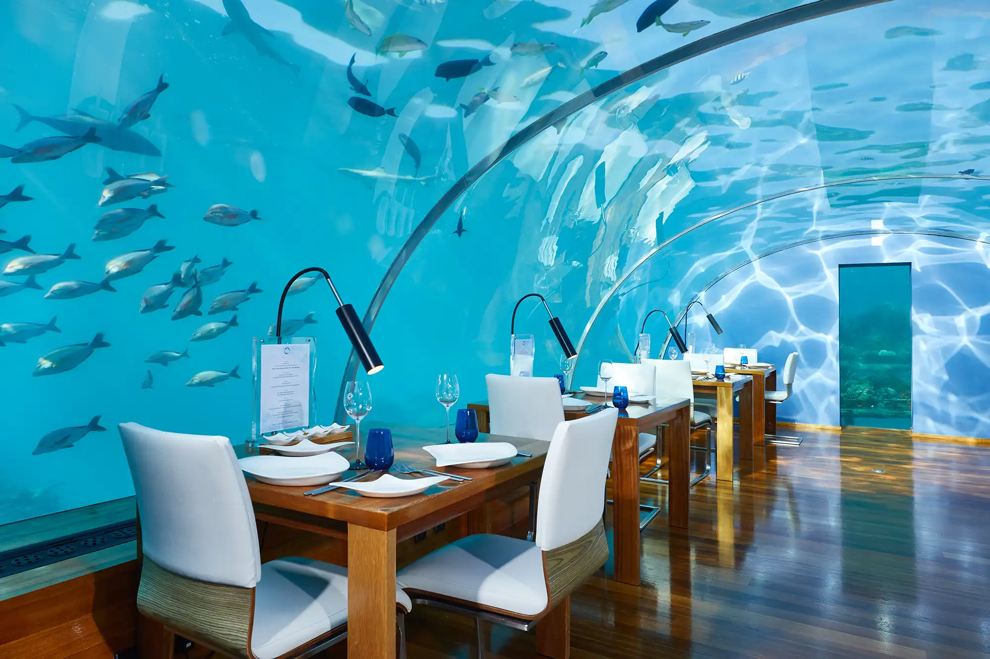 Ithaa Undersea Restaurant - pic 4