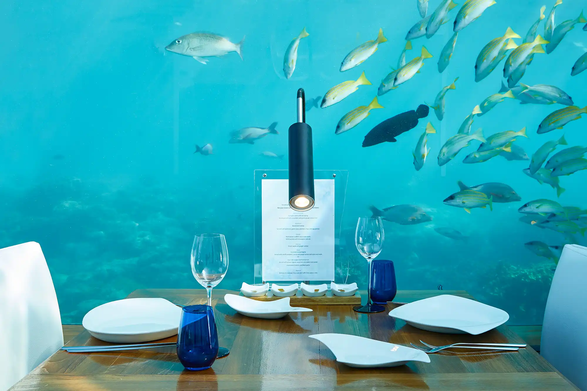 Ithaa Undersea Restaurant - pic 5