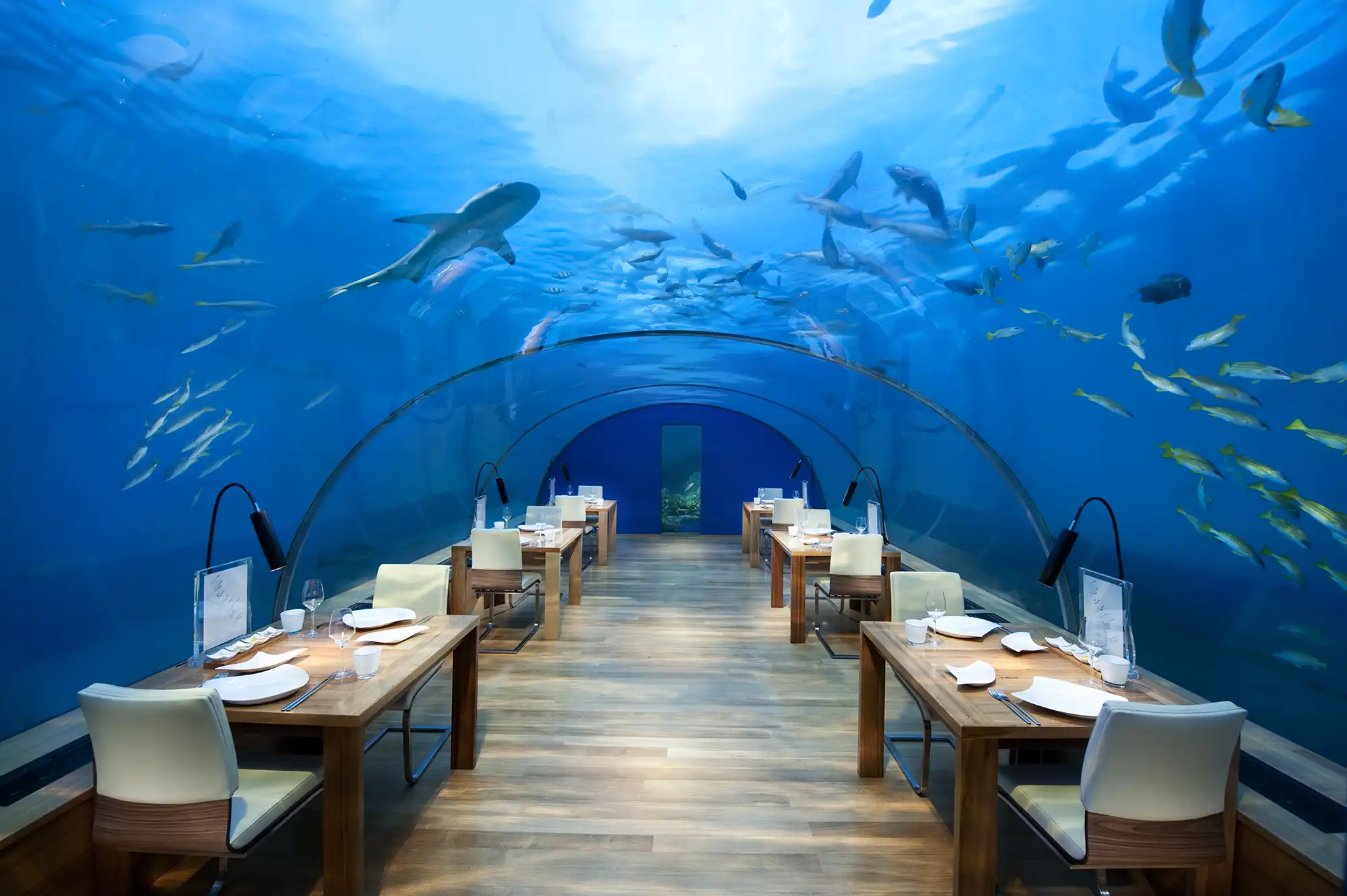 Maldives Underwater Dining: The Ultimate Submerged Gastronomy Guide