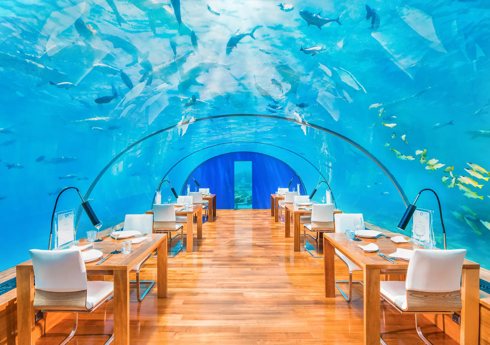 Ithaa Undersea Restaurant - pic 6