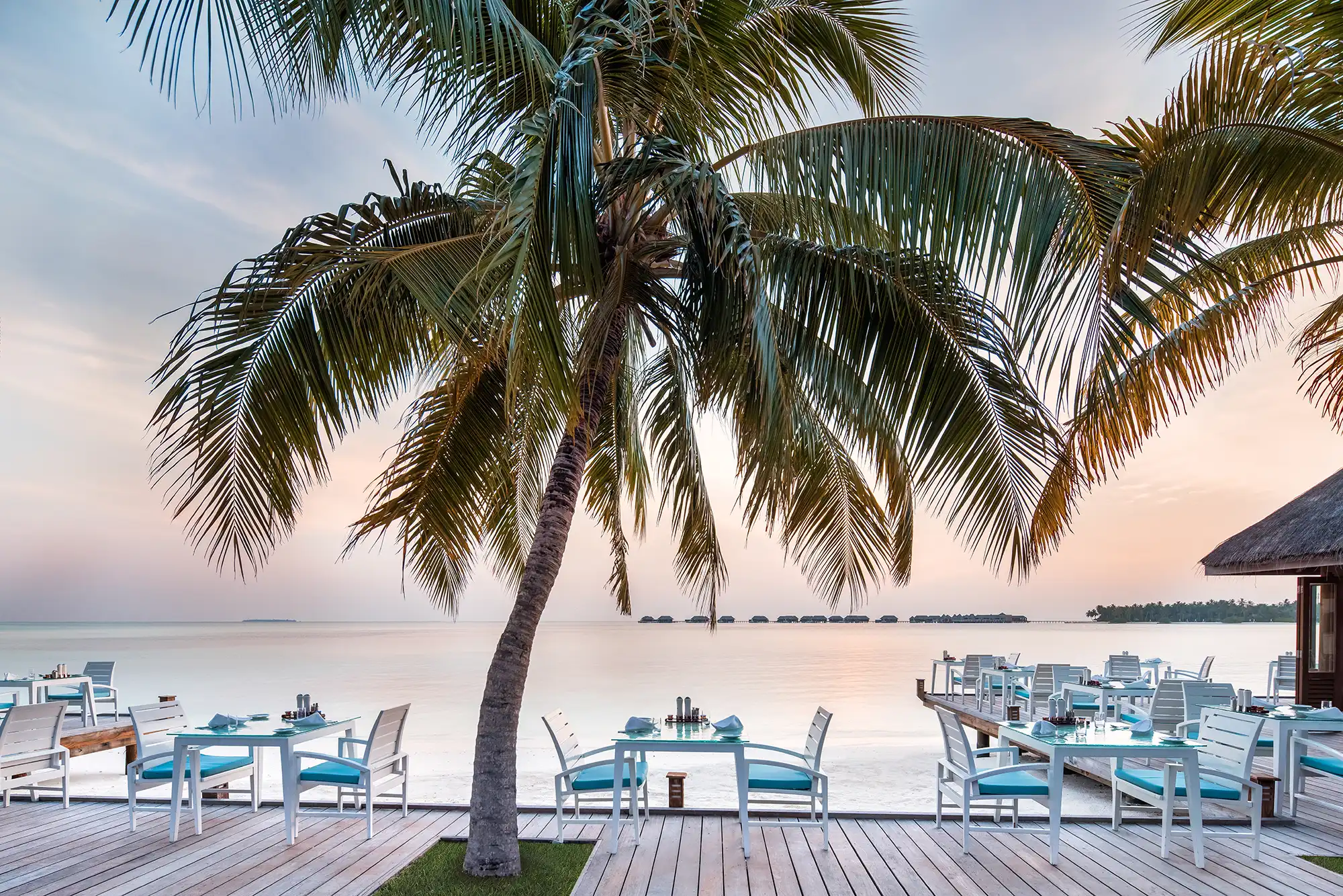 Vilu Restaurant & Bar - pic 2