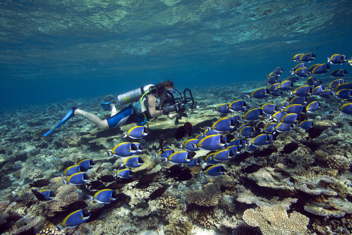 海洋中心 - pic 3