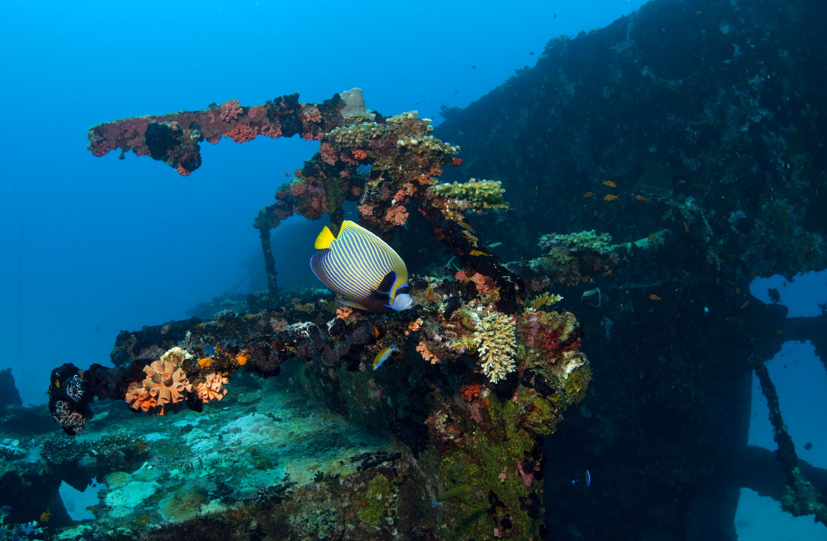 海洋中心 - pic 4