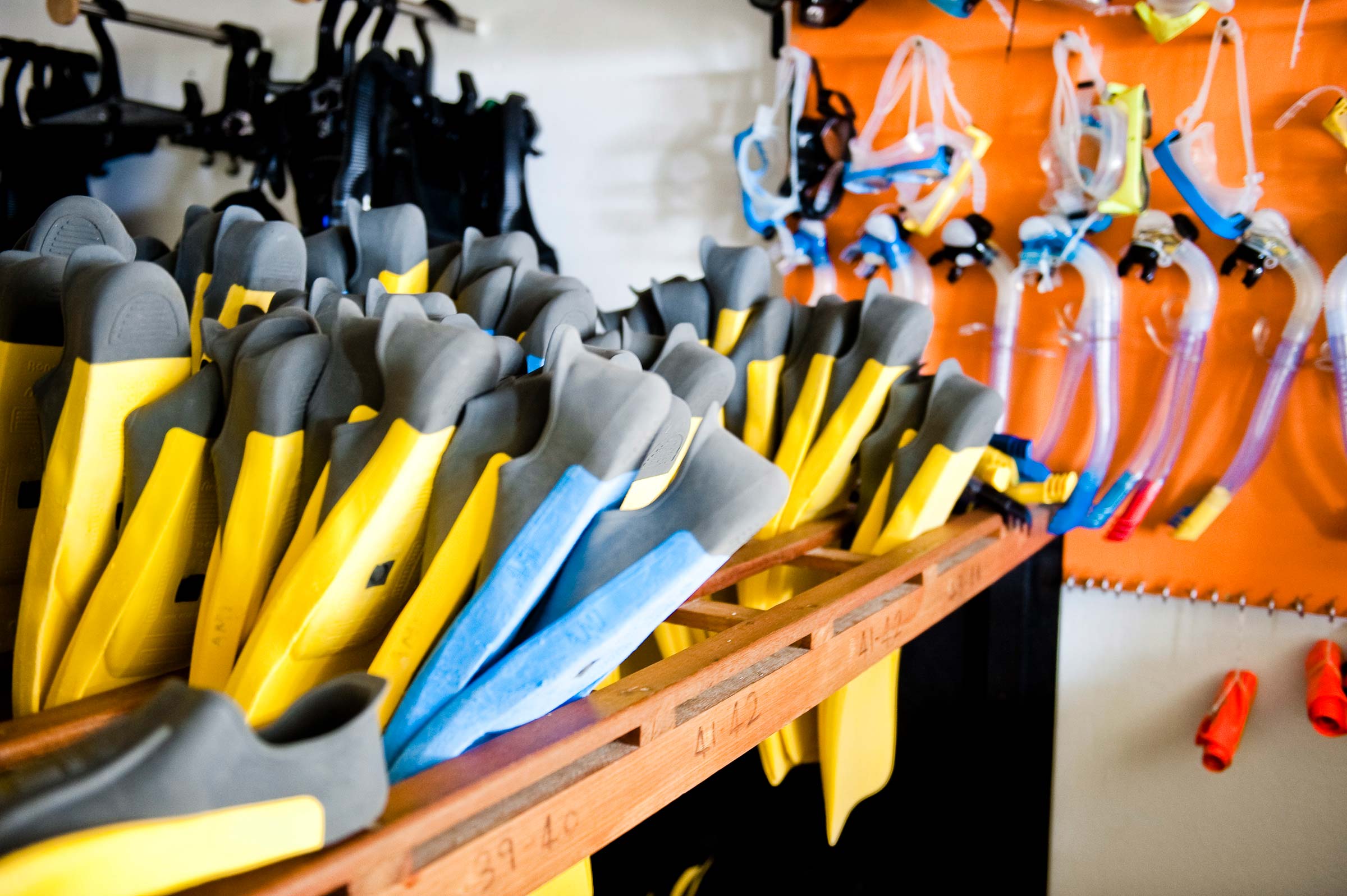 海洋中心 - pic 2