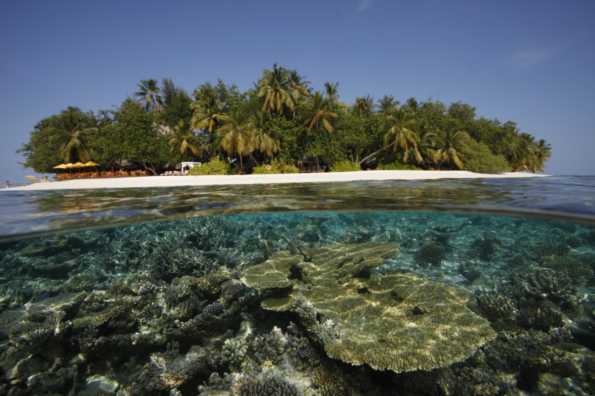 海洋中心 - pic 5