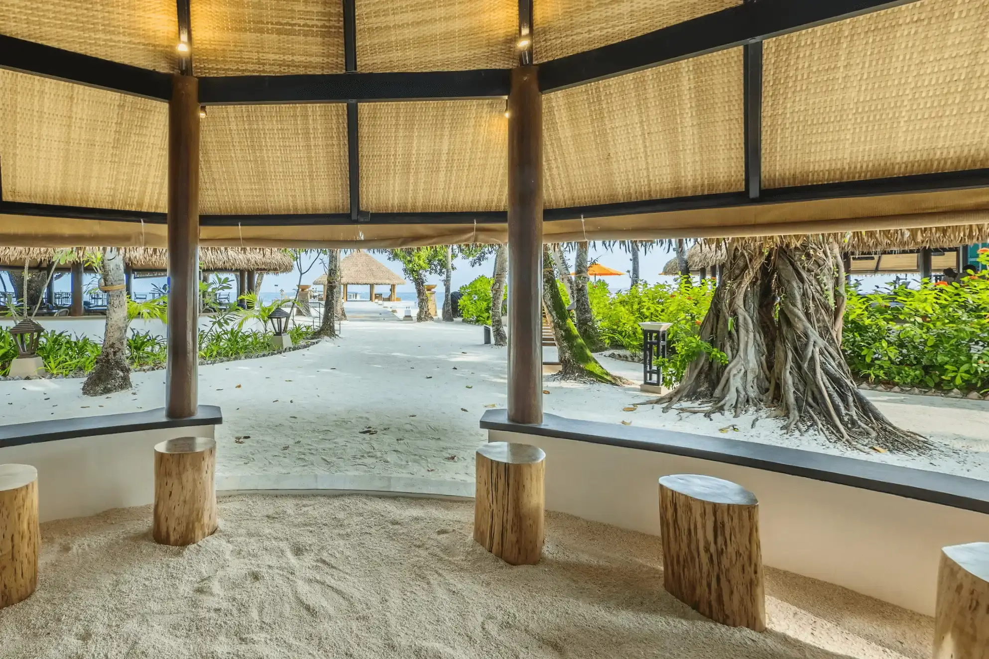 巢（Nest） - pic 2