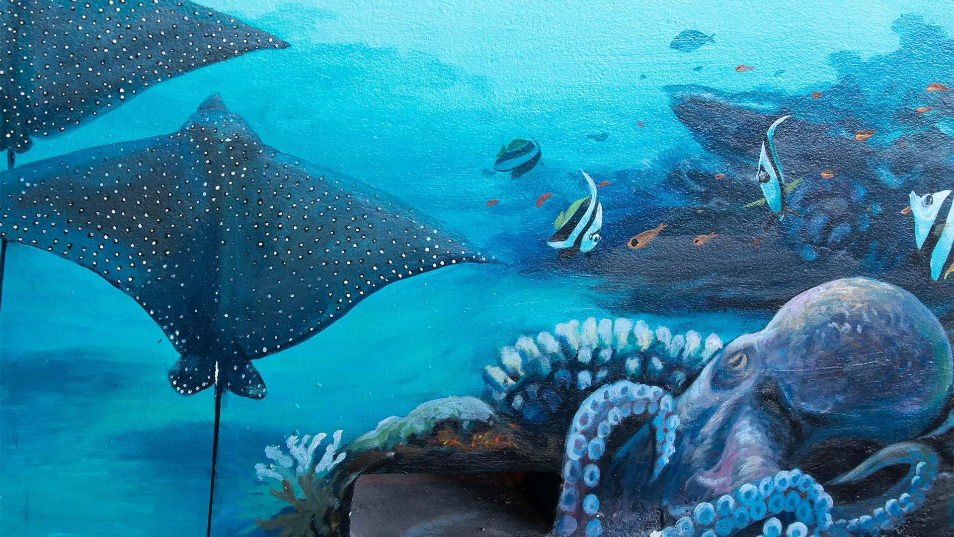 馬爾地夫伊瑚魯悅苑島（Dhawa Ihuru） - 故事图片 6