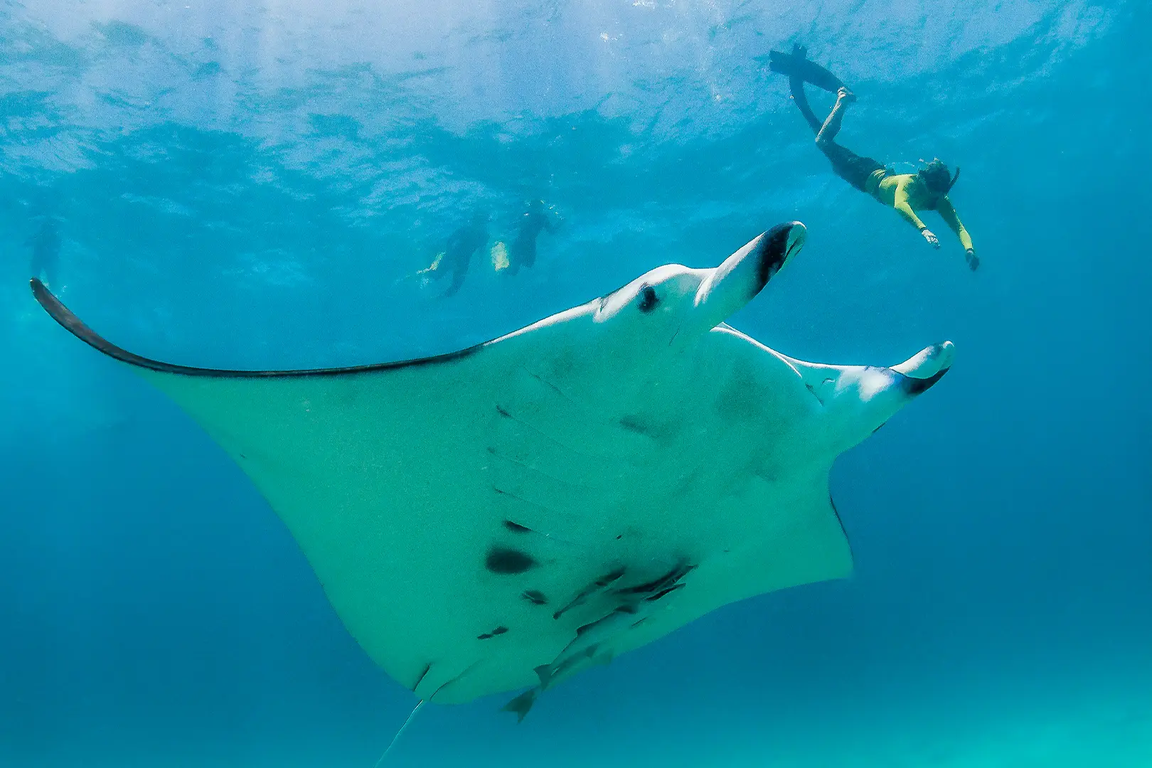 Ocean Dive Centre - pic 3