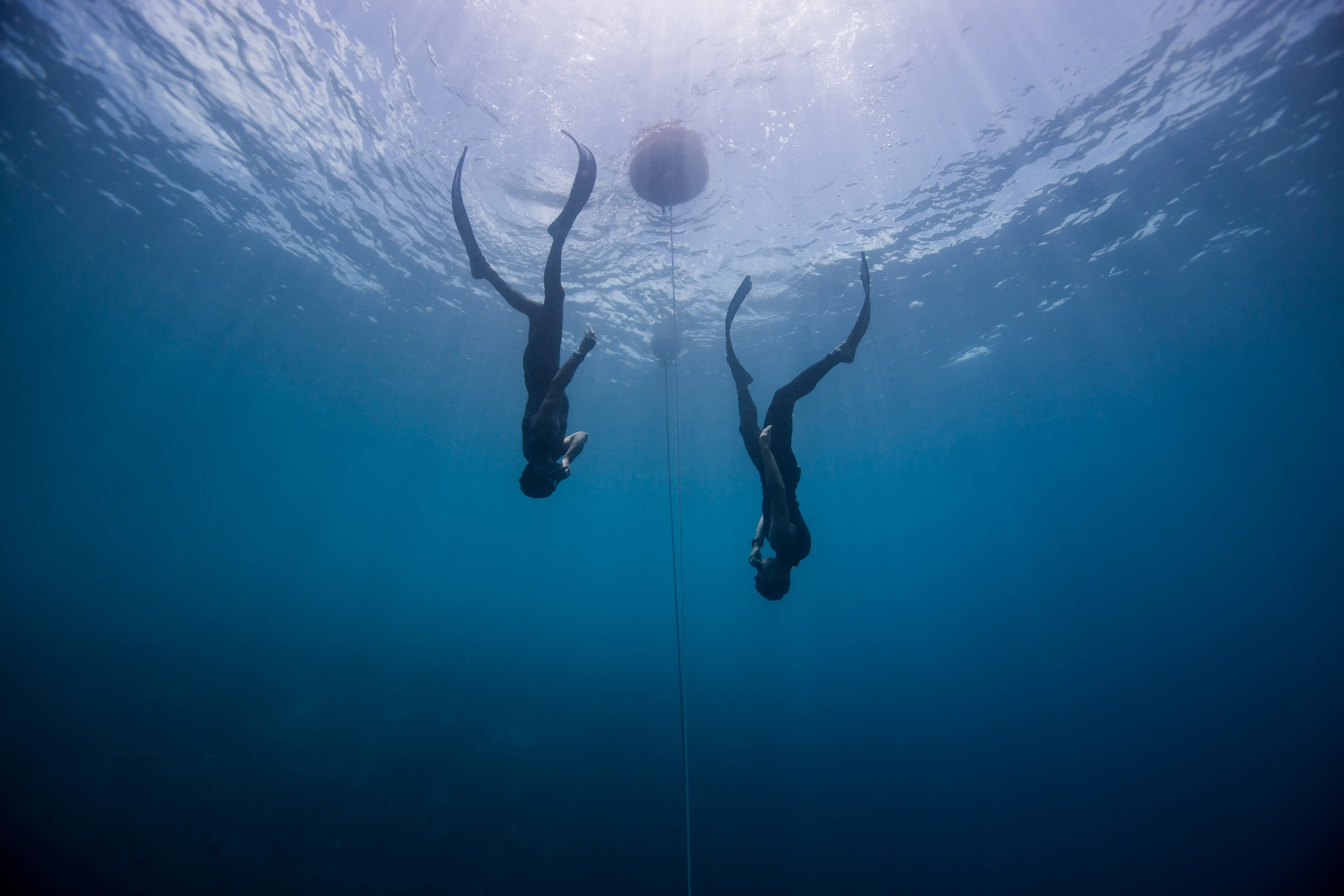 Ocean Dive Centre - pic 4