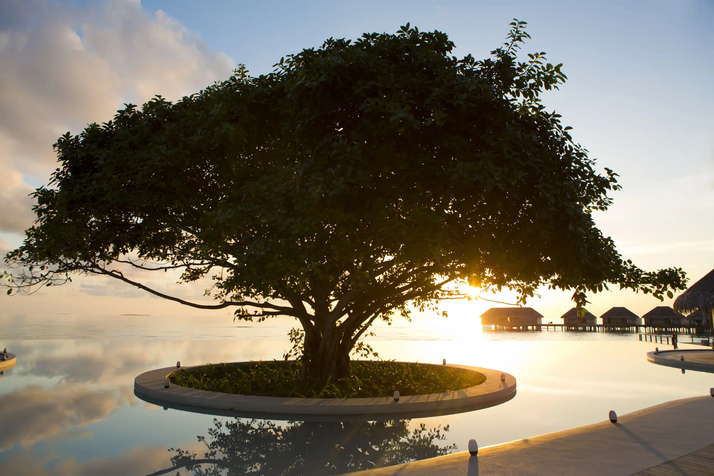Swimming Infinity Pool - pic 6