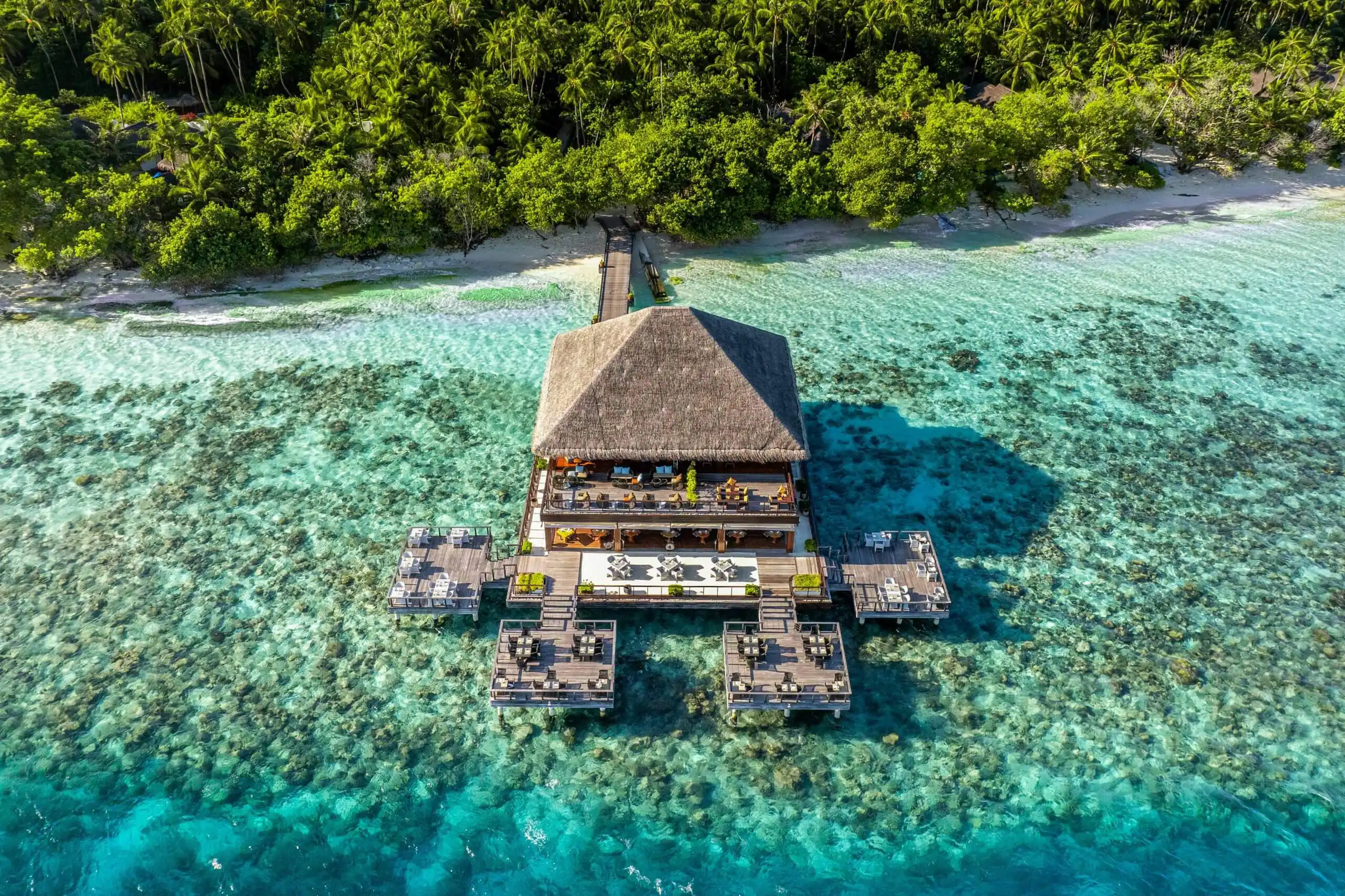 ベンジャロン - pic 3