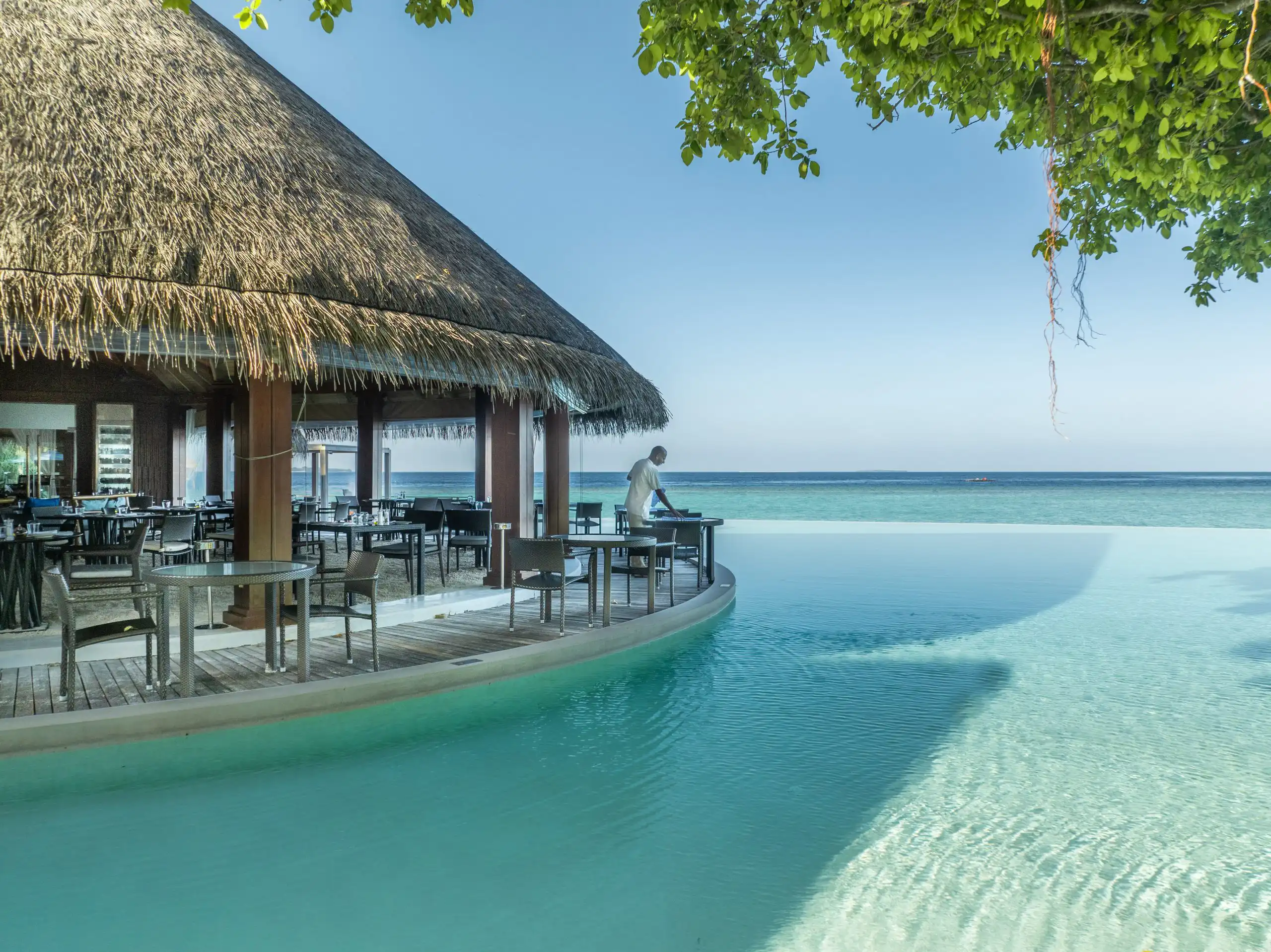 シーグリル - pic 3