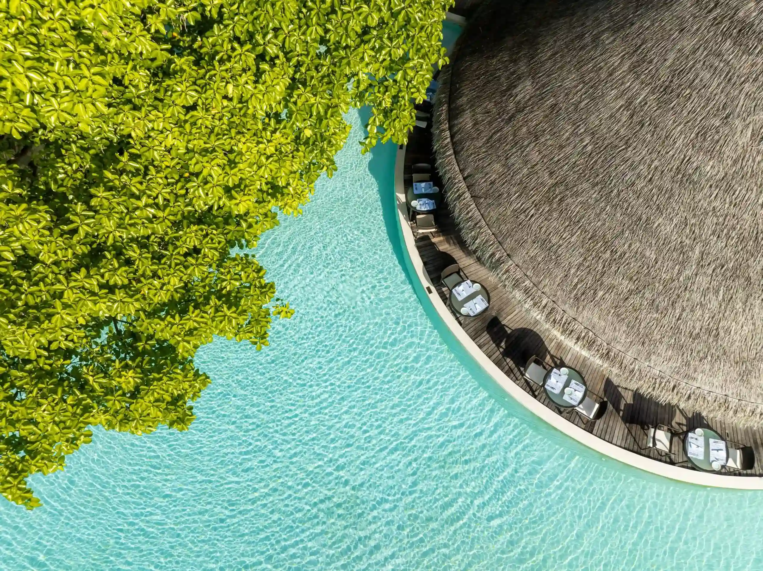 シーグリル - pic 4