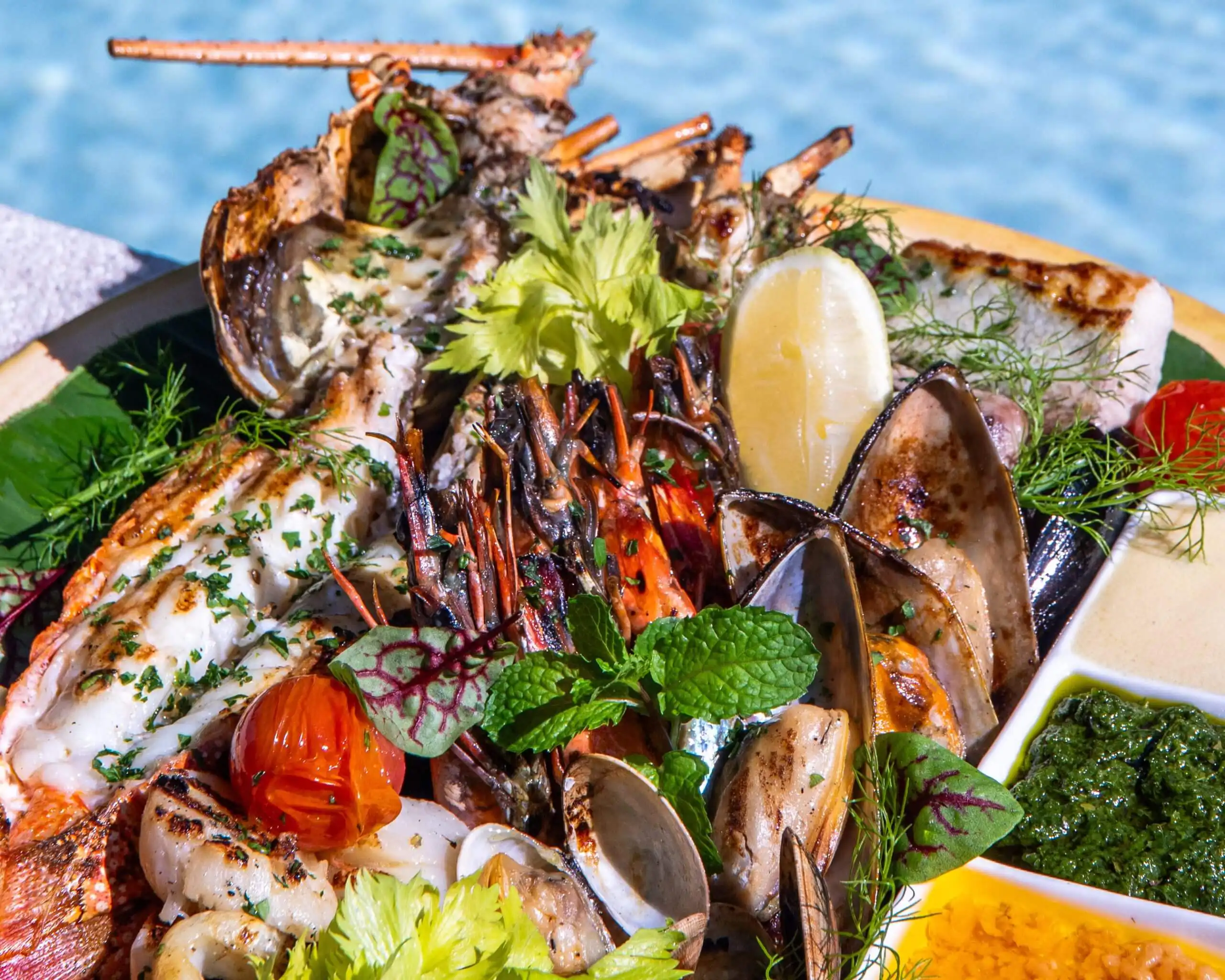 シーグリル - pic 7