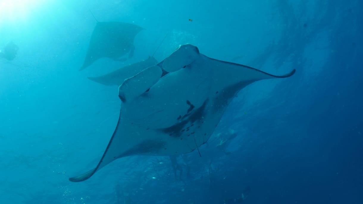 Marine Discovery Centre - pic 2