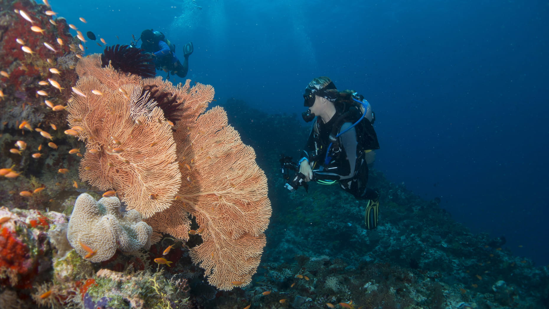 Water Sports & Diving Center