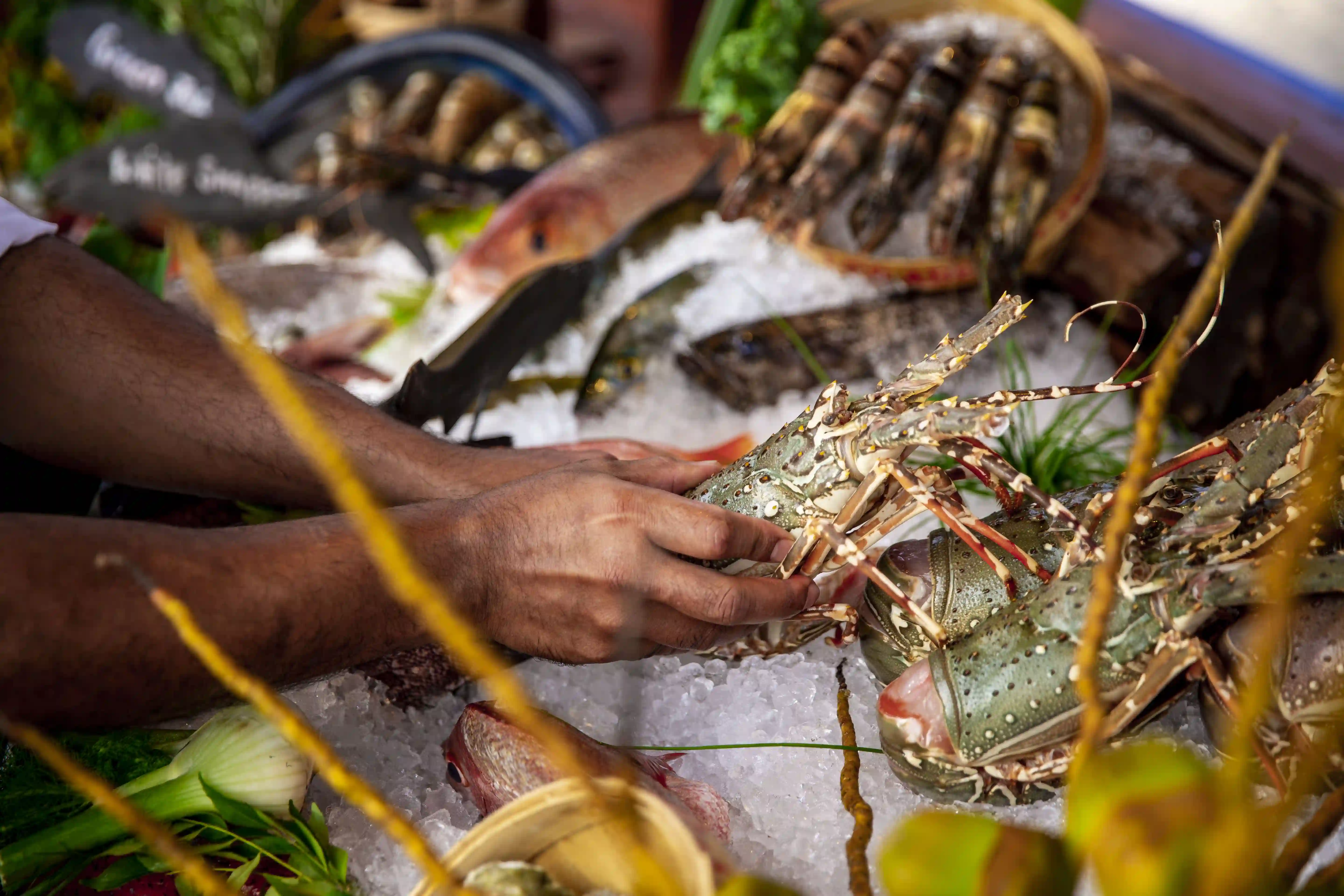 カンドゥ・グリル - pic 10