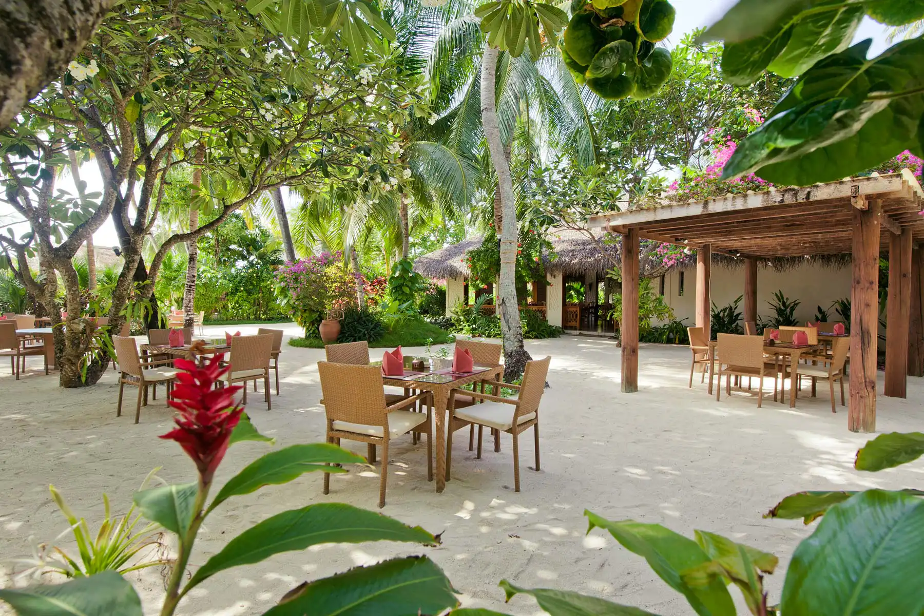 Island Coffee Shop 岛屿咖啡厅 - pic 2