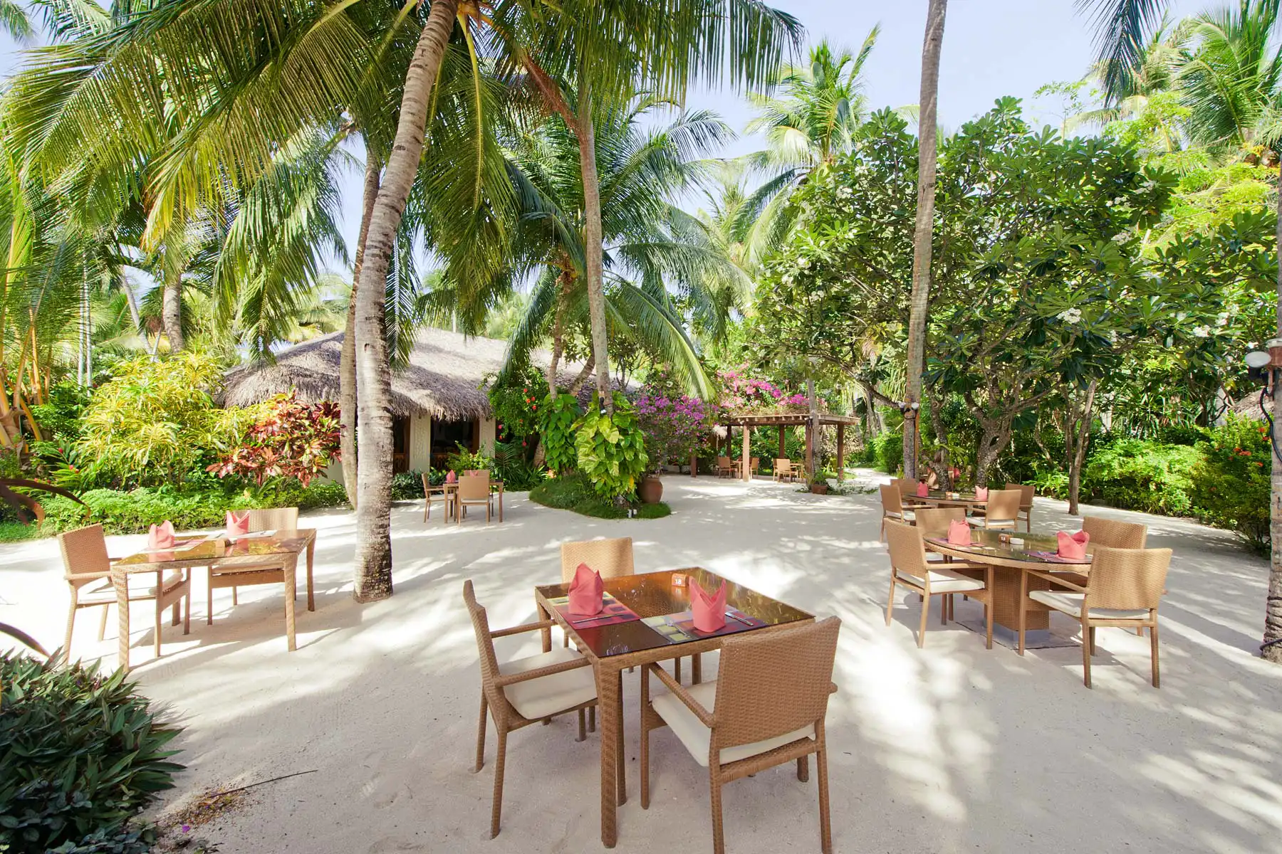 Island Coffee Shop 岛屿咖啡厅
