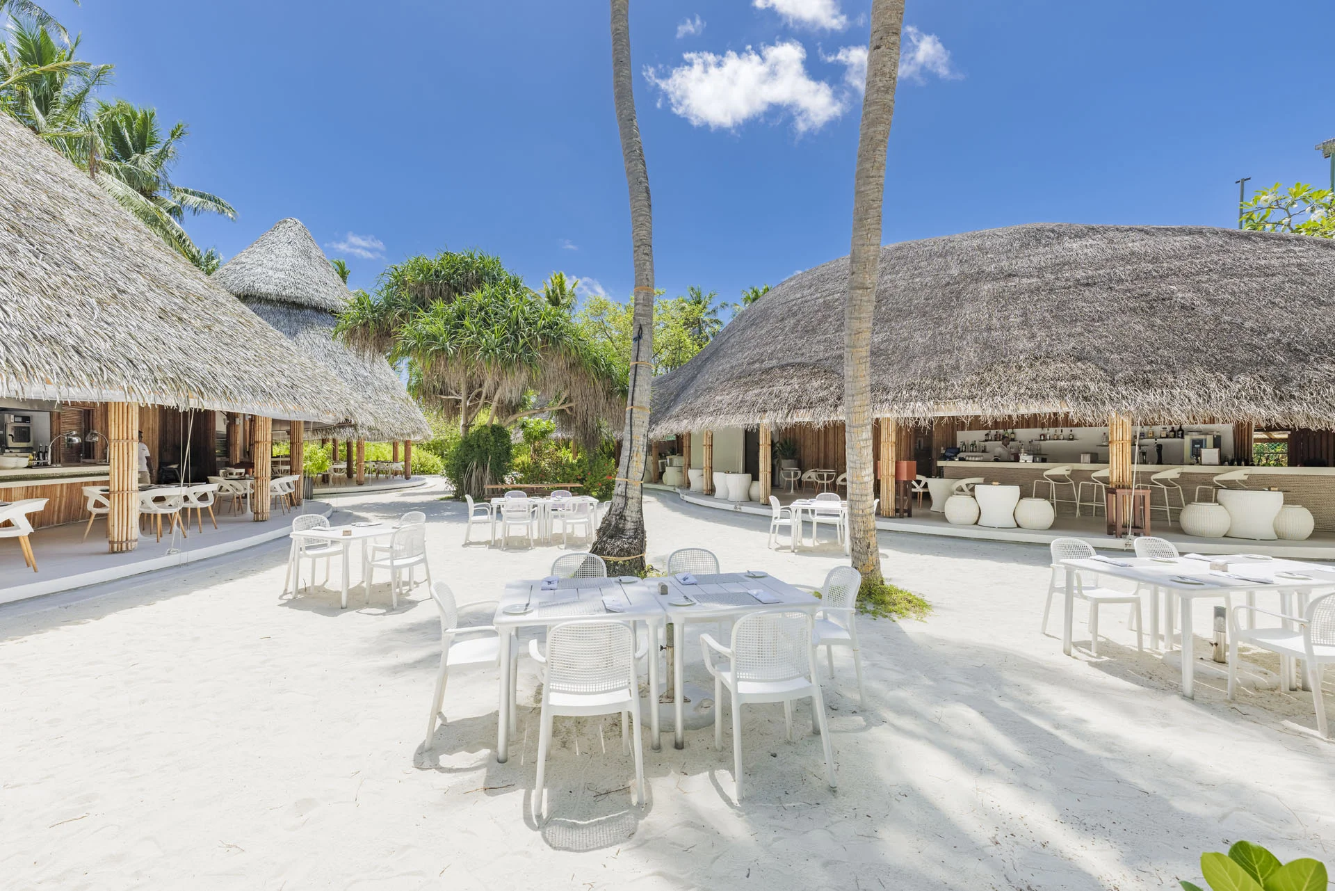 Palm 棕榈餐厅 - pic 2