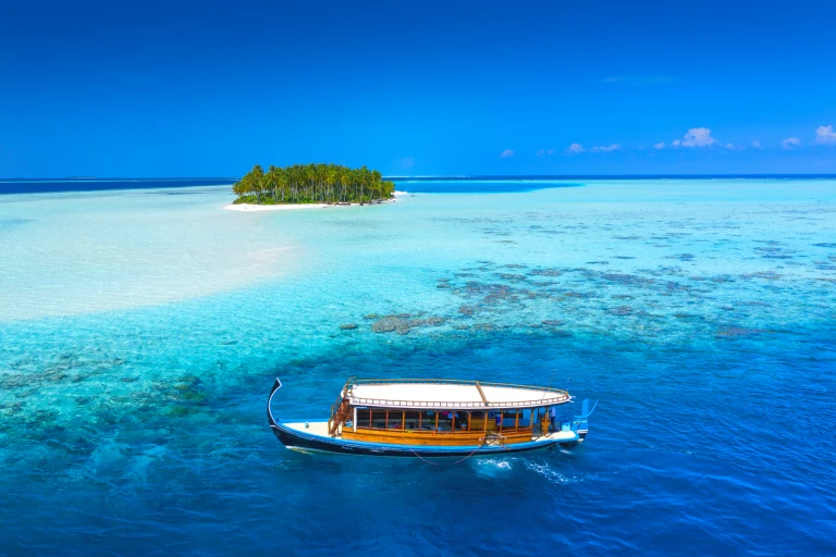 Suvadiva Diving Centre - pic 4