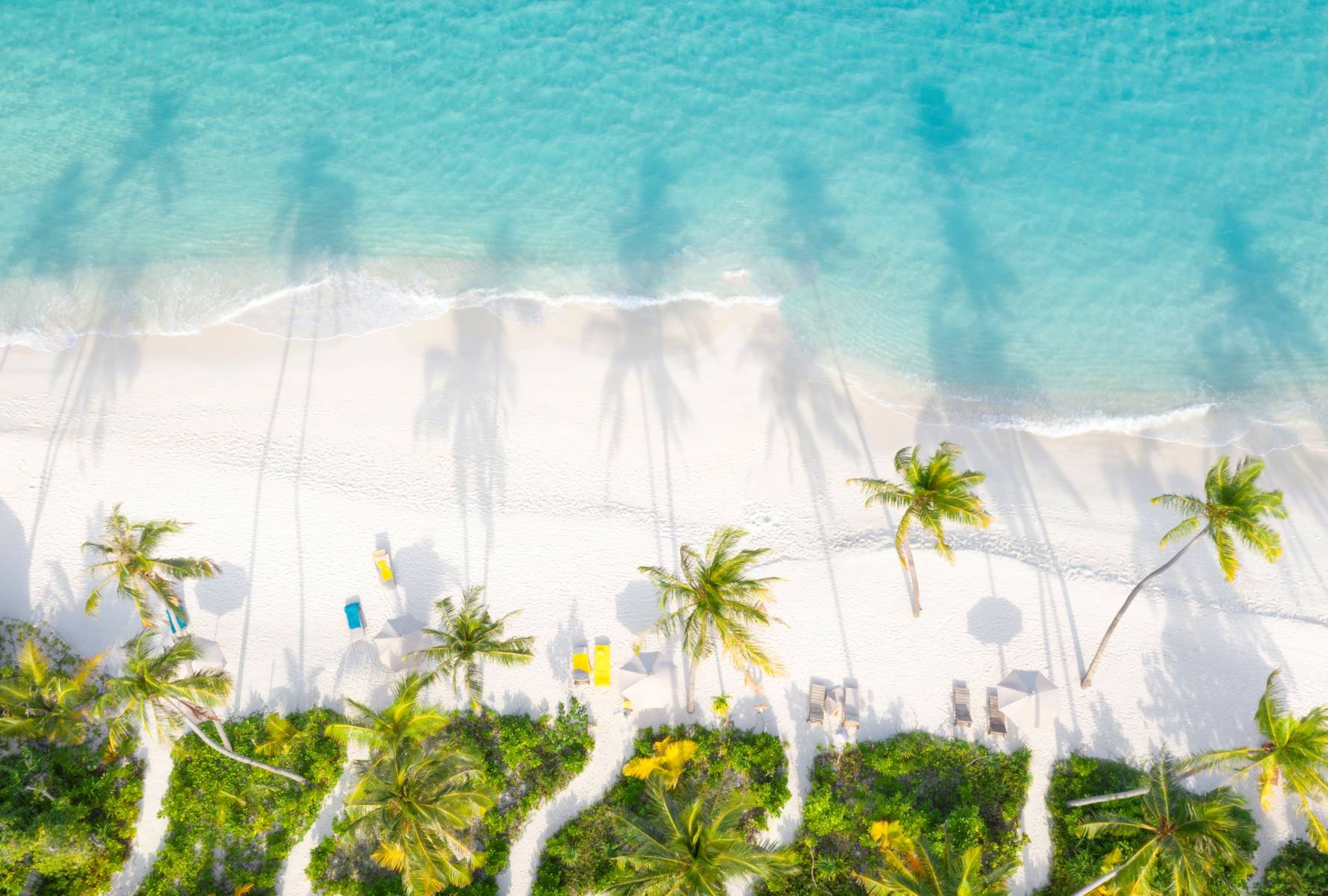 鉑爾曼馬爾地夫馬姆塔島度假酒店 - 图片 3