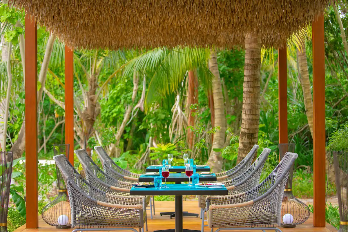 Phat Chameleon オーガニックヴィーガンレストラン - pic 4