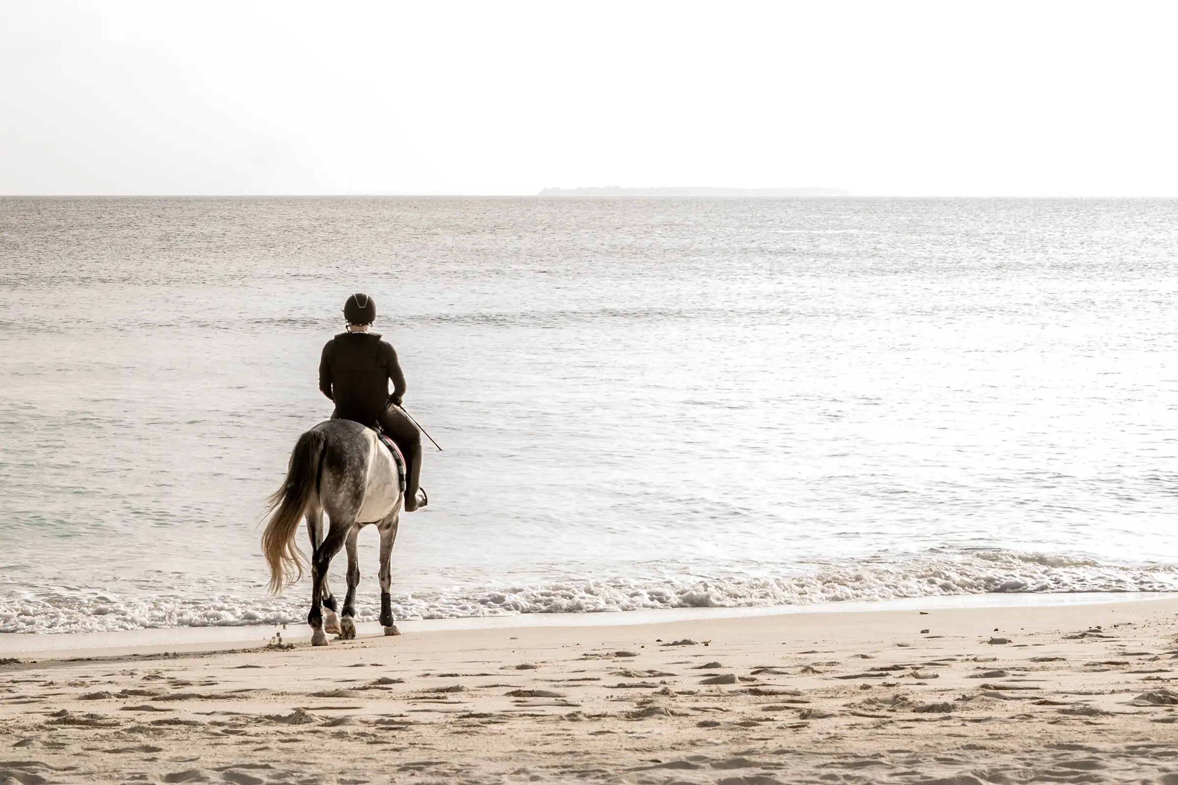 Horse Ranch - pic 3