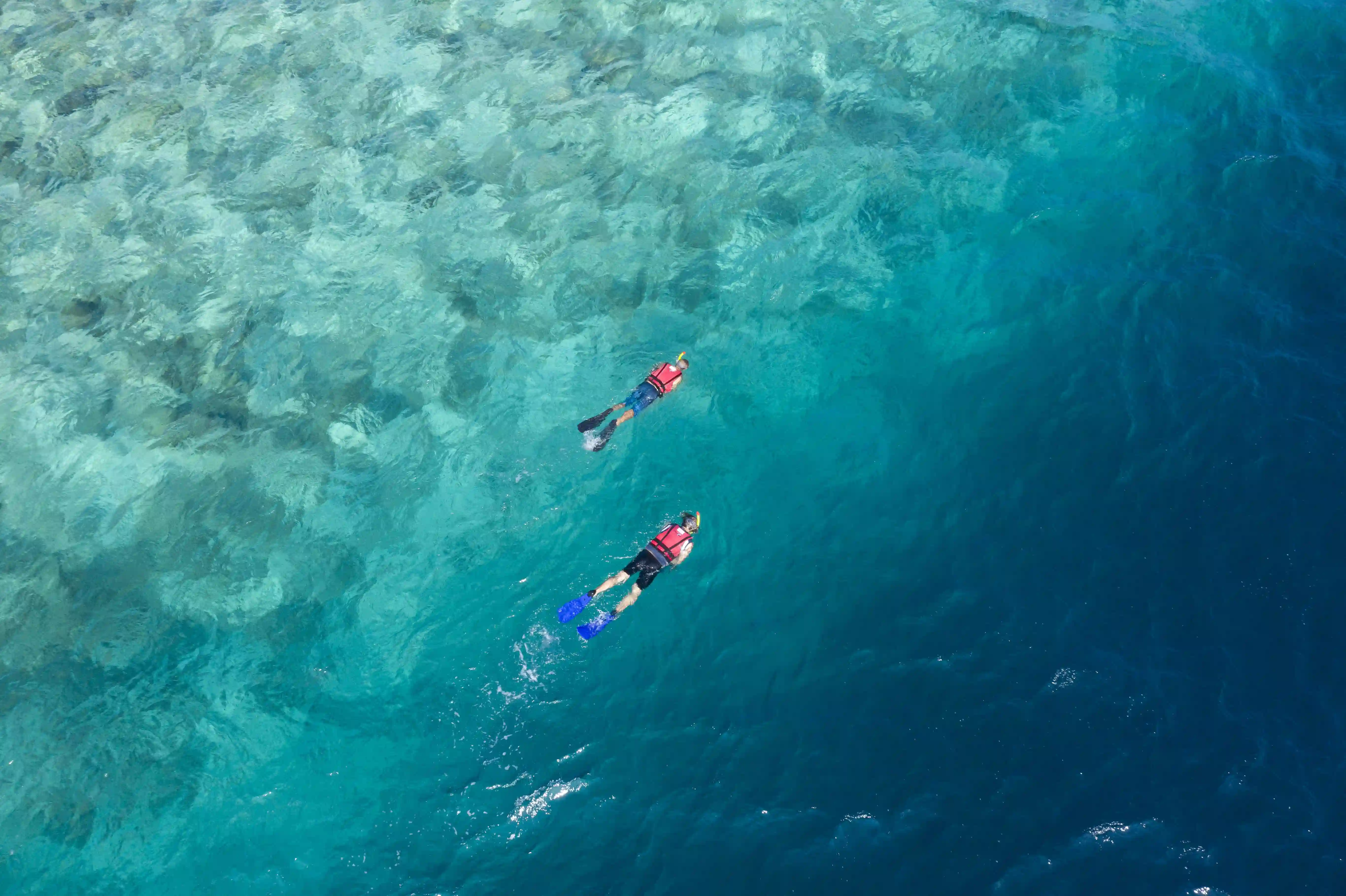 Aqua Water Sports Center - pic 5